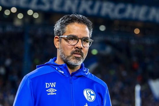 Fühlt sich wohl auf Schalke: Coach David Wagner.