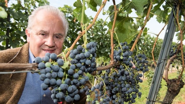 Fritz Keller soll am Freitag zum DFB-Präsidenten gewählt werden.