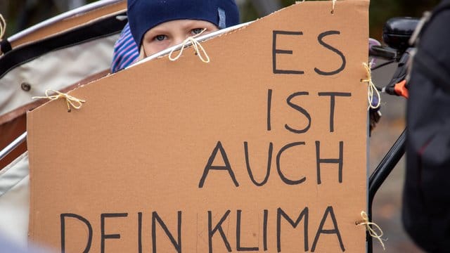 Anders als auf der großen Demo in Berlin vergangene Woche gibt es unter den Parteien im Bundestag kaum einen Konsens zum Klimaschutz.