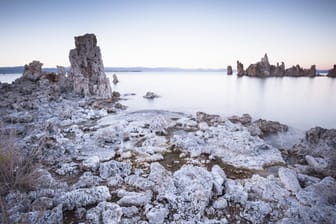 Der Mono Lake in Kalifornien: Forscher sind überrascht, in dem extrem salzigen Wasser Lebewesen zu finden.