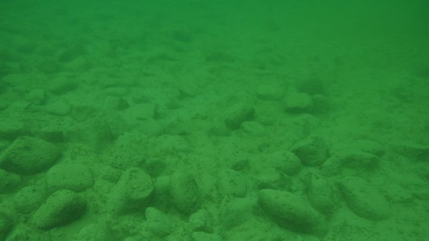 Unterwasseraufnahme von Hügel fünf: Die Steinhügel im Bodensee sind älter als vermutet wurde.