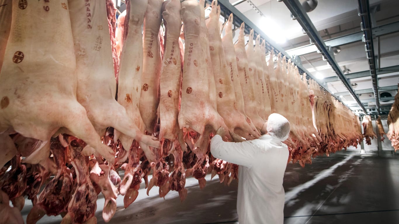 Schweine hängen in einem Kühlhaus des Fleischunternehmens Tönnies: Tönnies hatte am Freitag per Pressemitteilung mitgeteilt, das Auslandsgeschäft auszuweiten.