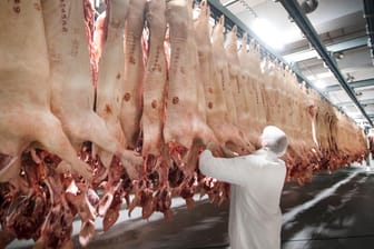 Schweine hängen in einem Kühlhaus des Fleischunternehmens Tönnies: Tönnies hatte am Freitag per Pressemitteilung mitgeteilt, das Auslandsgeschäft auszuweiten.