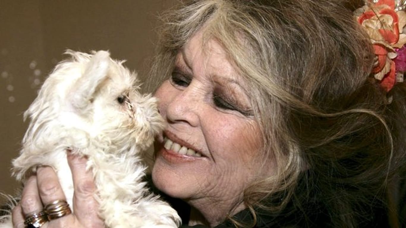 Brigitte Bardot wird 85.