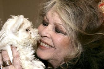Brigitte Bardot wird 85.