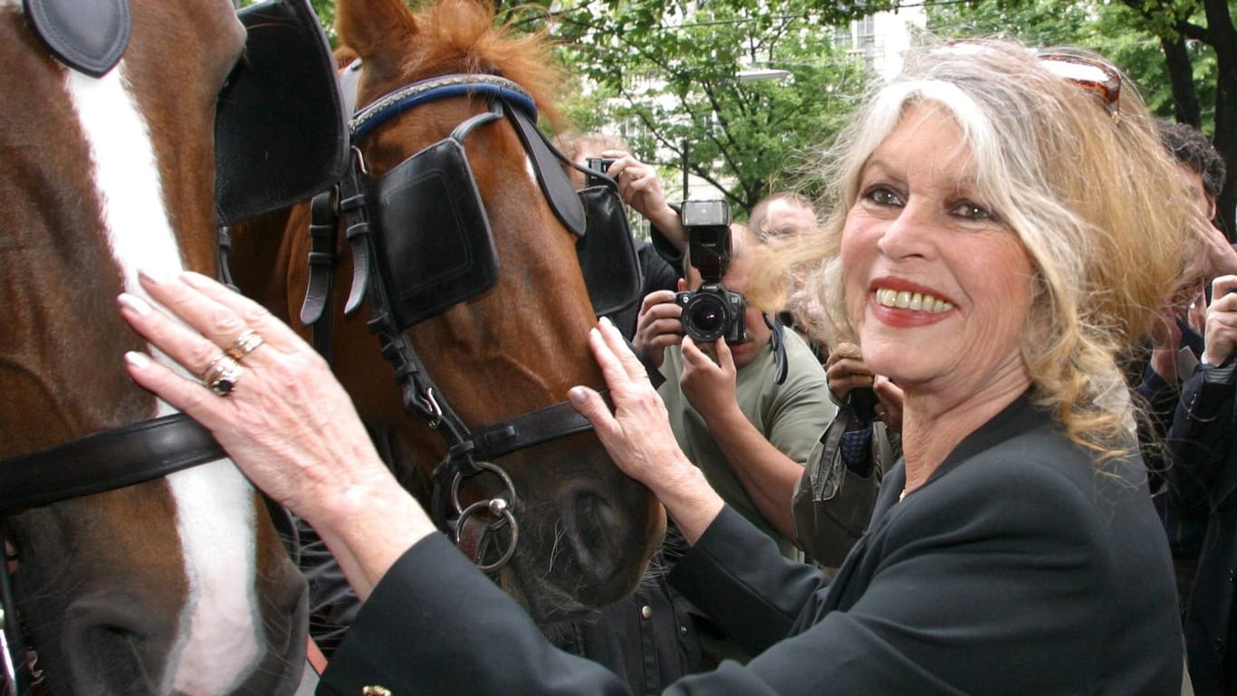 Brigitte Bardot: Heute hat sie ihr Leben dem Tierschutz verschrieben.
