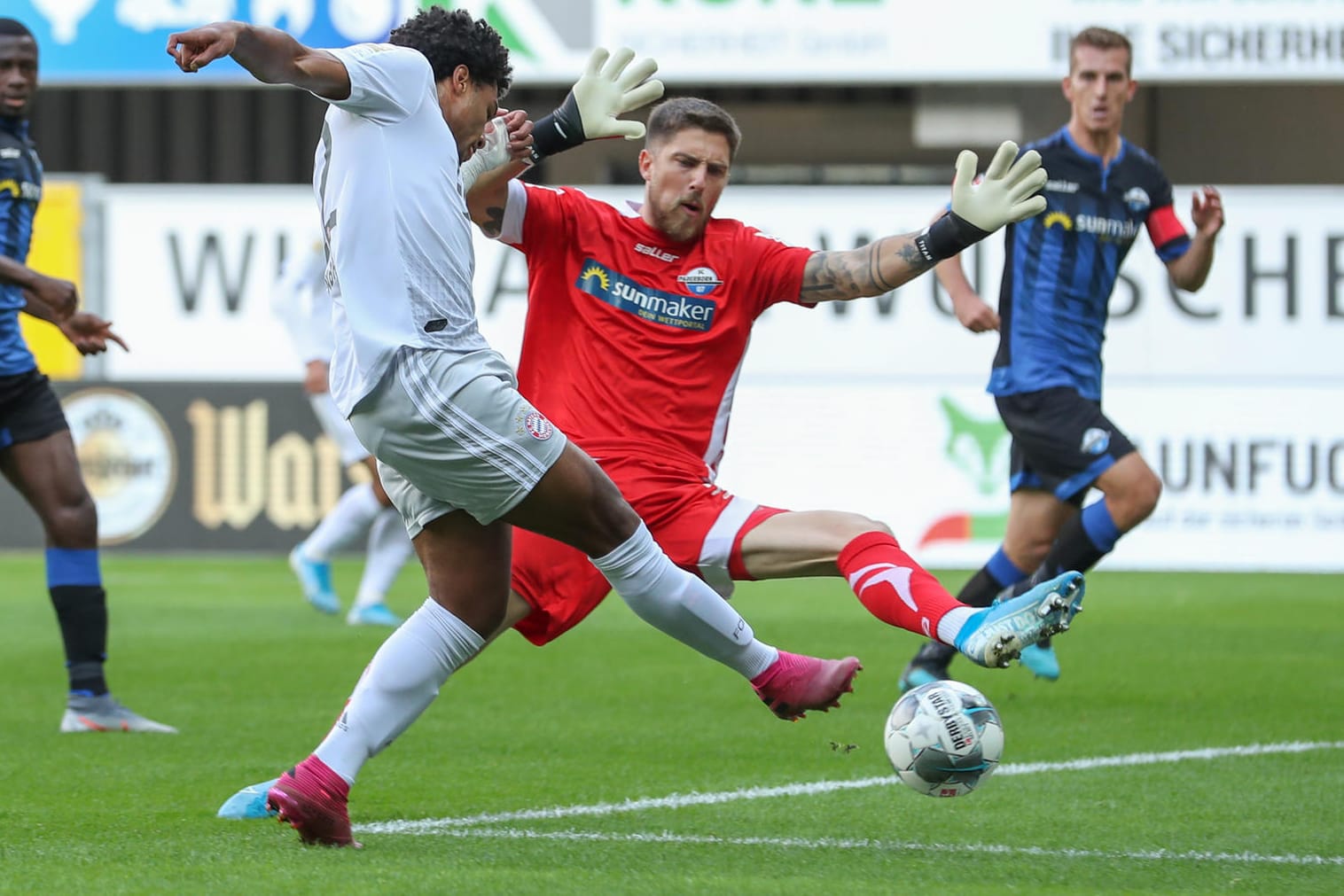 Torschütze: Gnabry (li.) trifft zur Bayern-Führung gegen Paderborn.