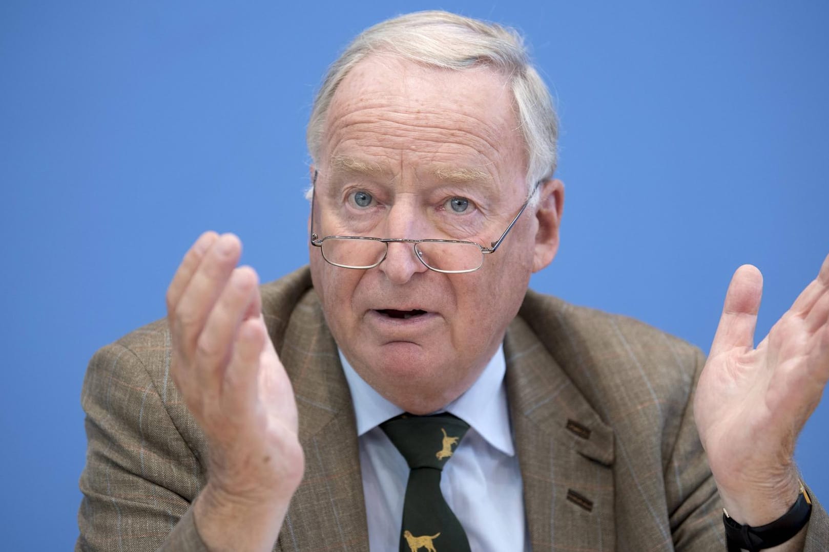 Alexander Gauland: Der Parteivorsitzende der AfD hat die Kritik an der Klimapolitik zum Hauptthema der Partei erklärt.