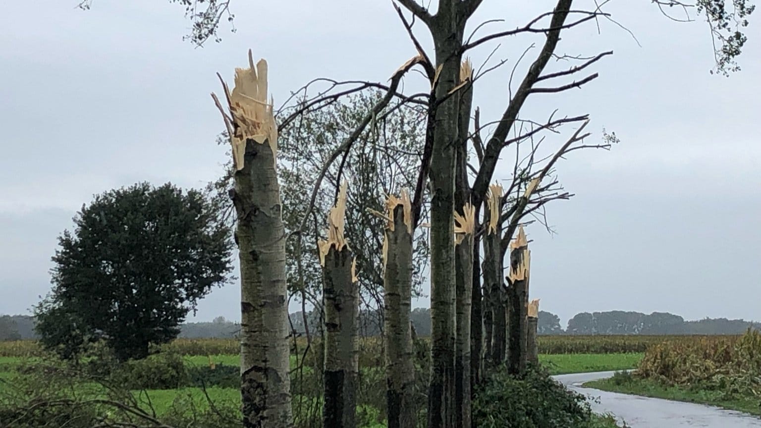 Sturmschaden im Landkreis Emsland: Laut Augenzeugen gab es einen Tornado.