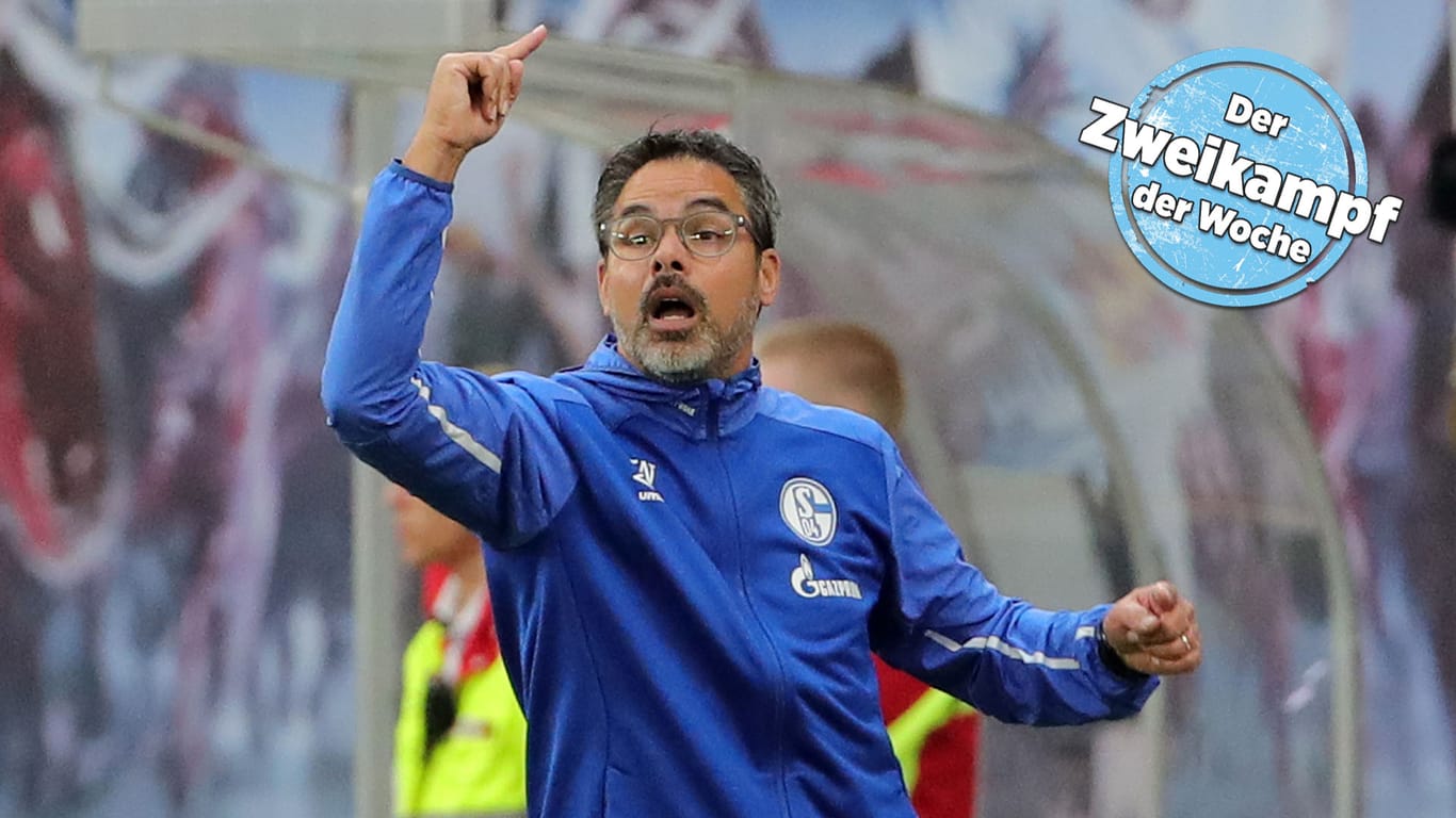 Führte Schalke zurück in die obere Tabellenhälfte: Trainer David Wagner.