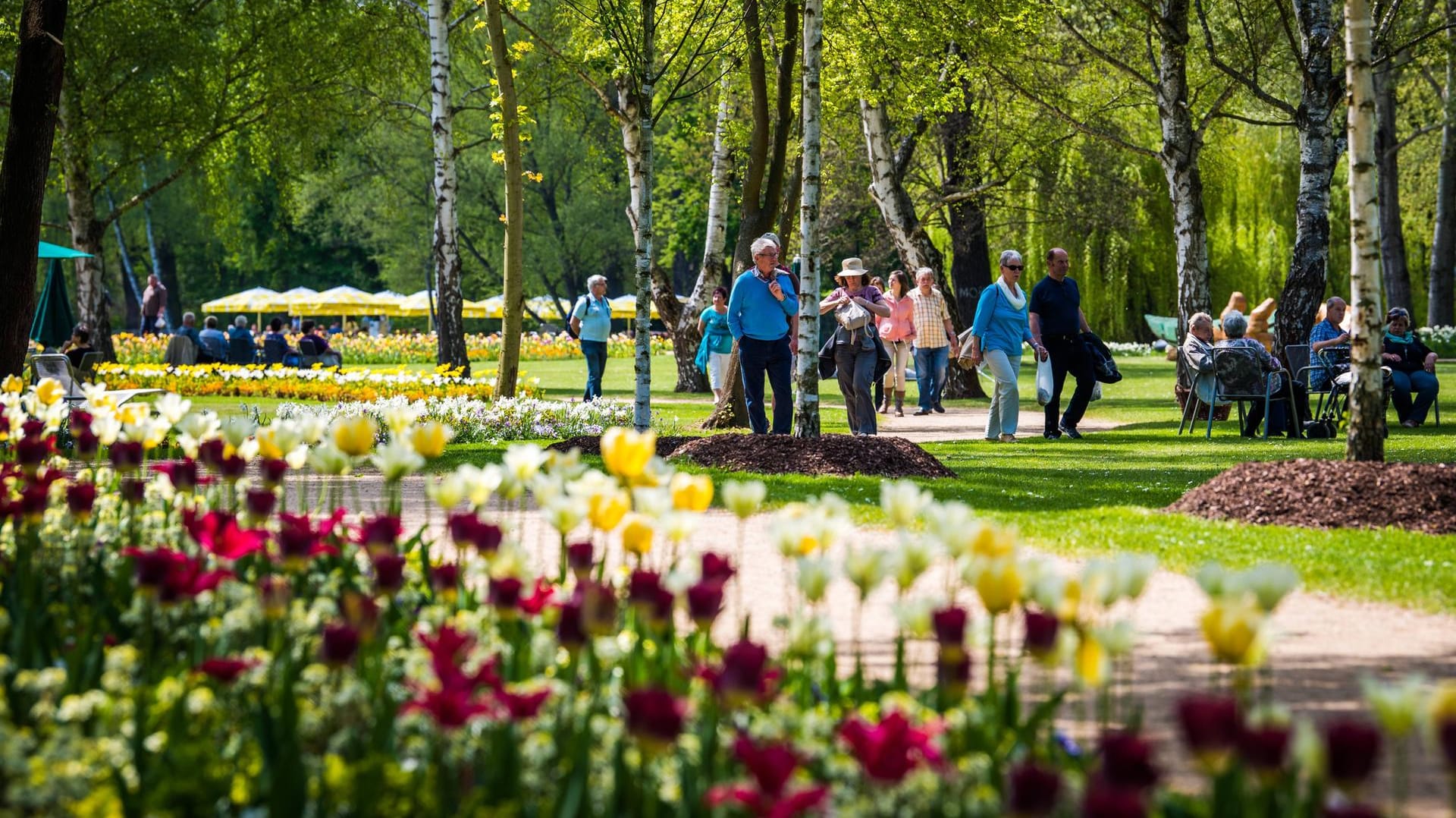 Besucher der Landesgartenschau in Thüringen: In Mainz könnte 2026 ebenfalls eine Laga stattfinden.