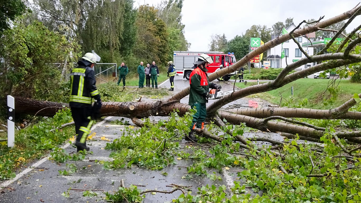 Feuerwehrleute beseitigen umgestürzte Bäume auf der L104 im Landkreis Börde in Sachsen-Anhalt: Der Wetterdienst warnt vor orkanartigen Böen.