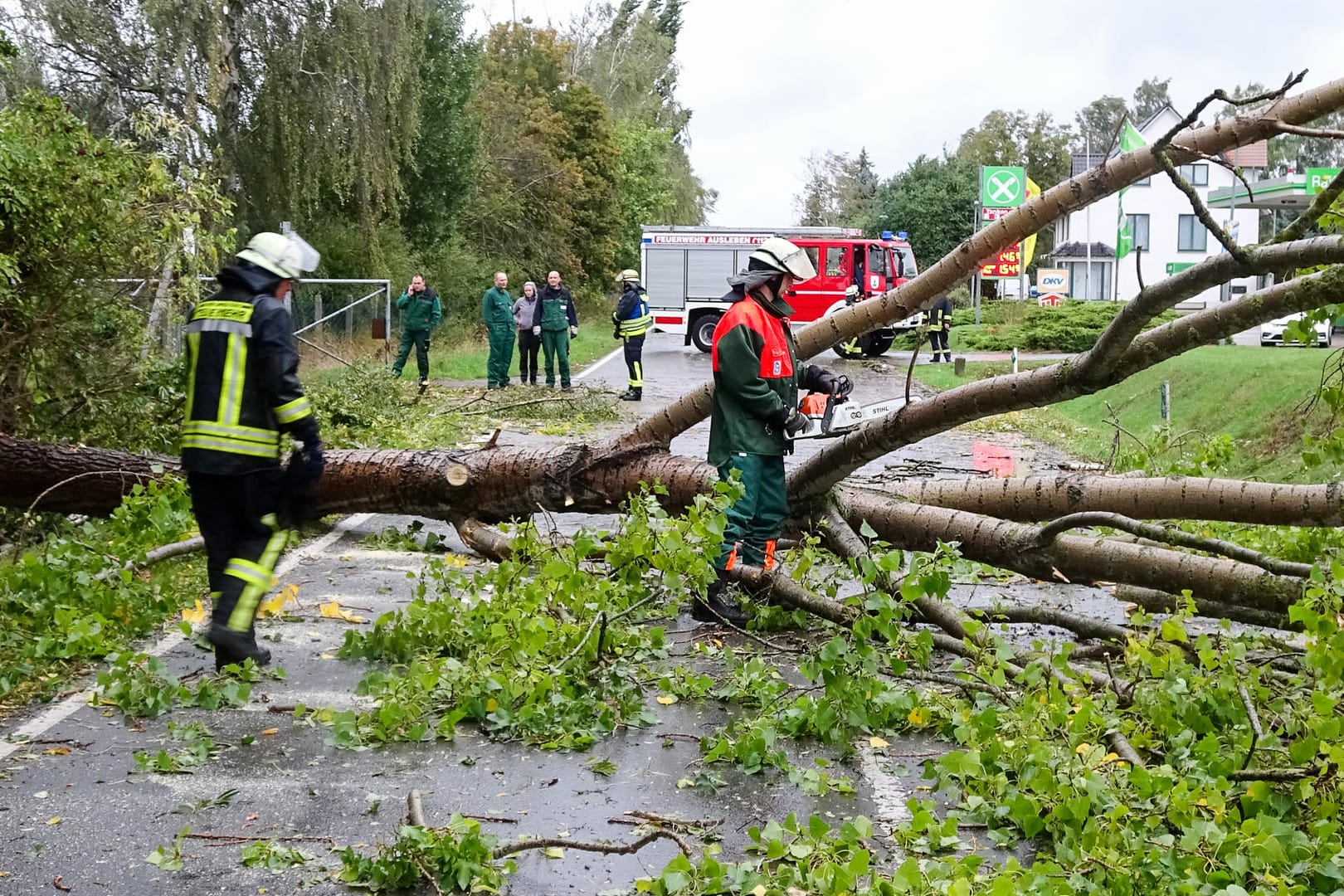 Feuerwehrleute beseitigen umgestürzte Bäume auf der L104 im Landkreis Börde in Sachsen-Anhalt: Der Wetterdienst warnt vor orkanartigen Böen.