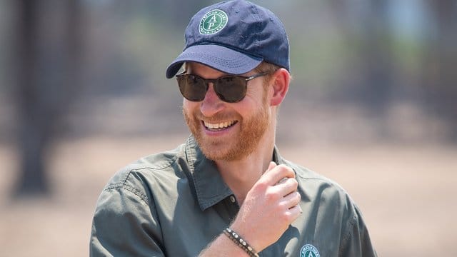 Prinz Harry im Liwonde-Nationalpark.