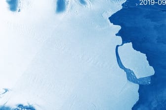 Der in der Antarktis abgebrochene Eisberg ist etwa so groß wie das Stadtgebiet von London.