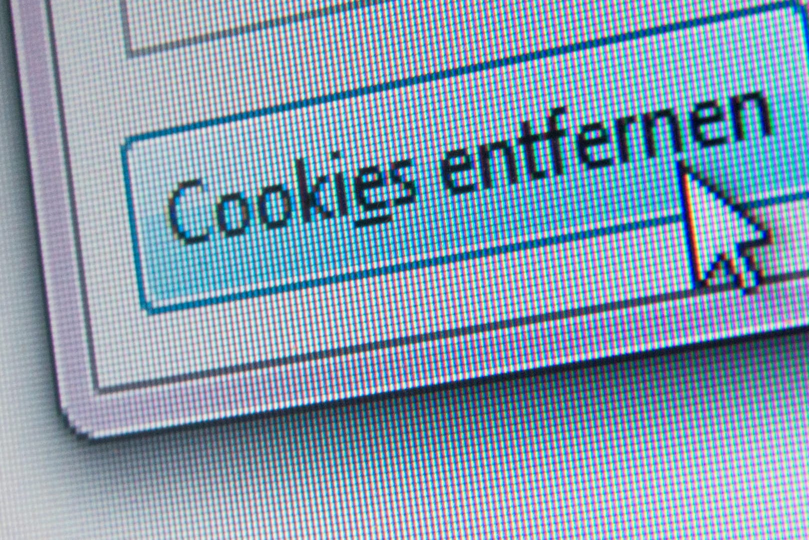 Im Browser ist der Button mit der Aufschrift "Cookies entfernen" zu sehen: Die sogenannten Cookies sollten Internet-Nutzer regelmäßig löschen. Aufräumen schadet nicht.