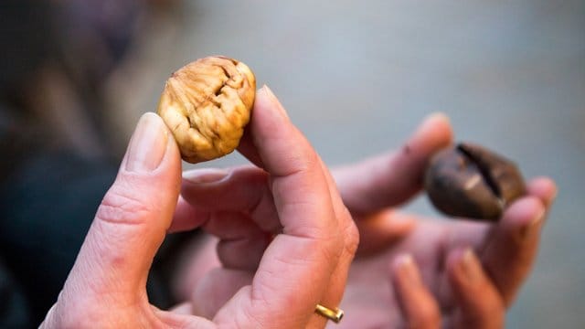 Maronen lassen sich besser schälen, wenn man die Schale vor dem Garen kreuzweise einritzt.