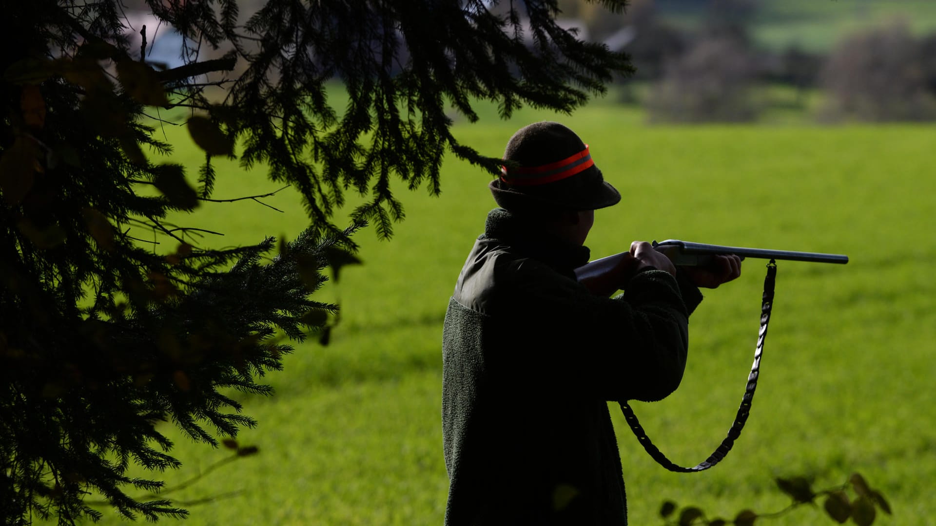 Ein Jäger bei der Jagd: In Augsburg wurden zwei Hunde erschossen. (Symbolbild)