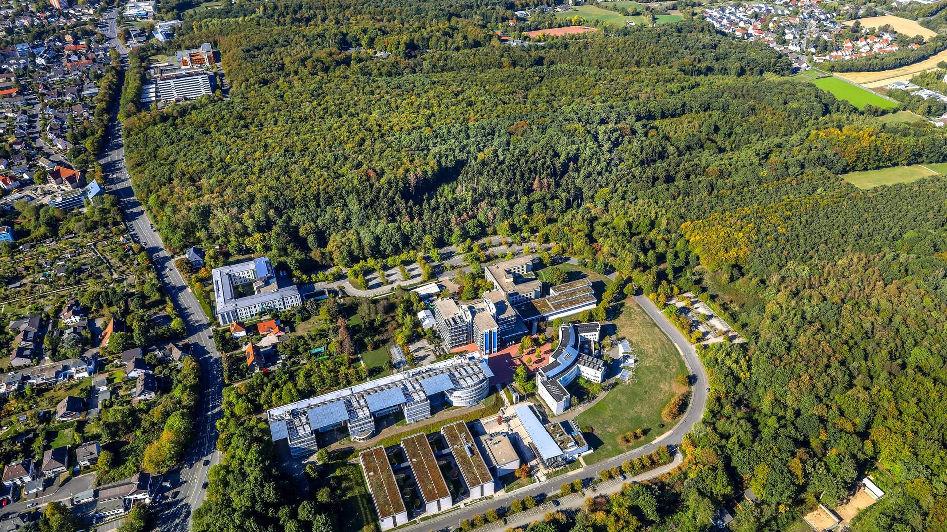 Hagens Wälder von oben: Beim genauen Hinblick wird klar, auch hier ist das Waldsterben ein großes Problem.