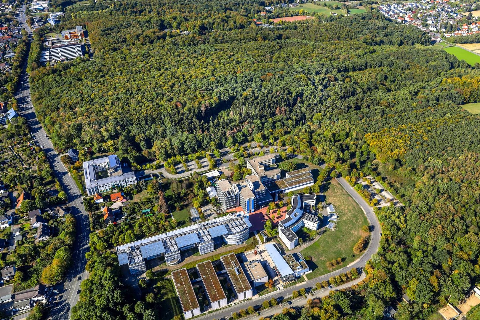 Hagens Wälder von oben: Beim genauen Hinblick wird klar, auch hier ist das Waldsterben ein großes Problem.