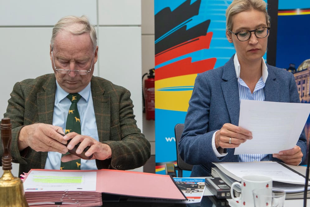 AfD-Politikerinnen Gauland und Weidel: "Heute redet die Welt nur noch vom Klimaschutz, nun wird das eben Markenkern der Partei."
