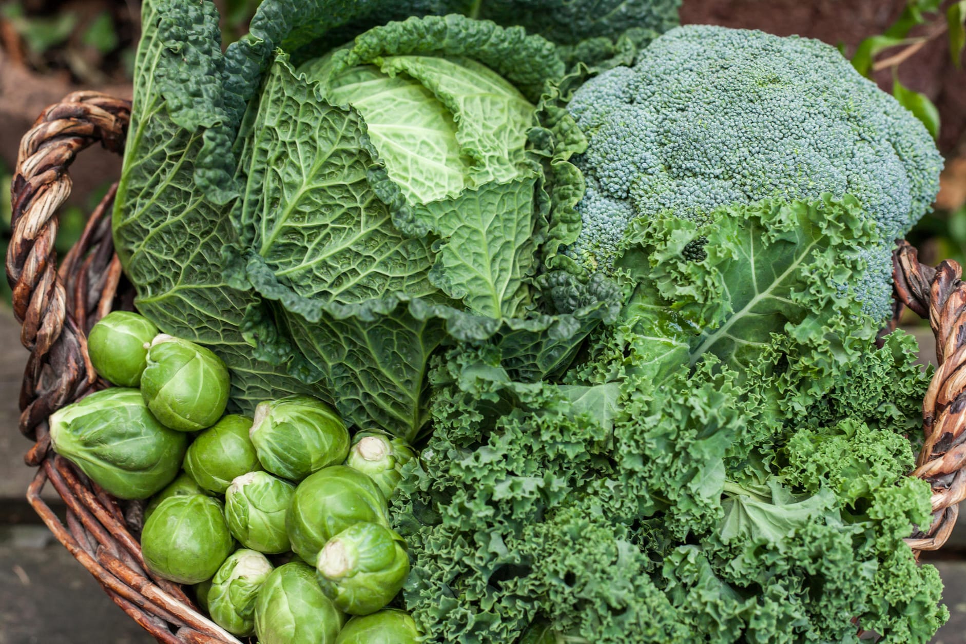 Wintergemüse: Vor allem Kohl zählt zum gesunden Wintergemüse.