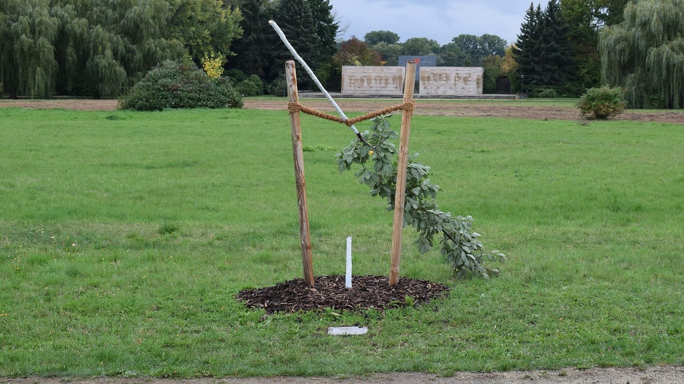 Der zerstörte Gedenkbaum: Enver Simsek war das erste Mordopfer der Neonazi-Terrorzelle.