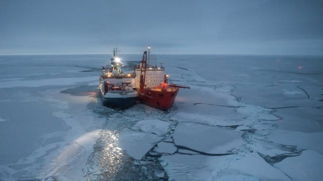 Der Forschungseisbrecher Polarstern (l) und der russische Eisbrecher Akademik Fedorov (r) liegen zwischen arktischen Eisschollen. Der Forschungseisbrecher Polarstern (l) und der russische Eisbrecher Akademik Fedorov (r) liegen zwischen arktischen Eisschollen.