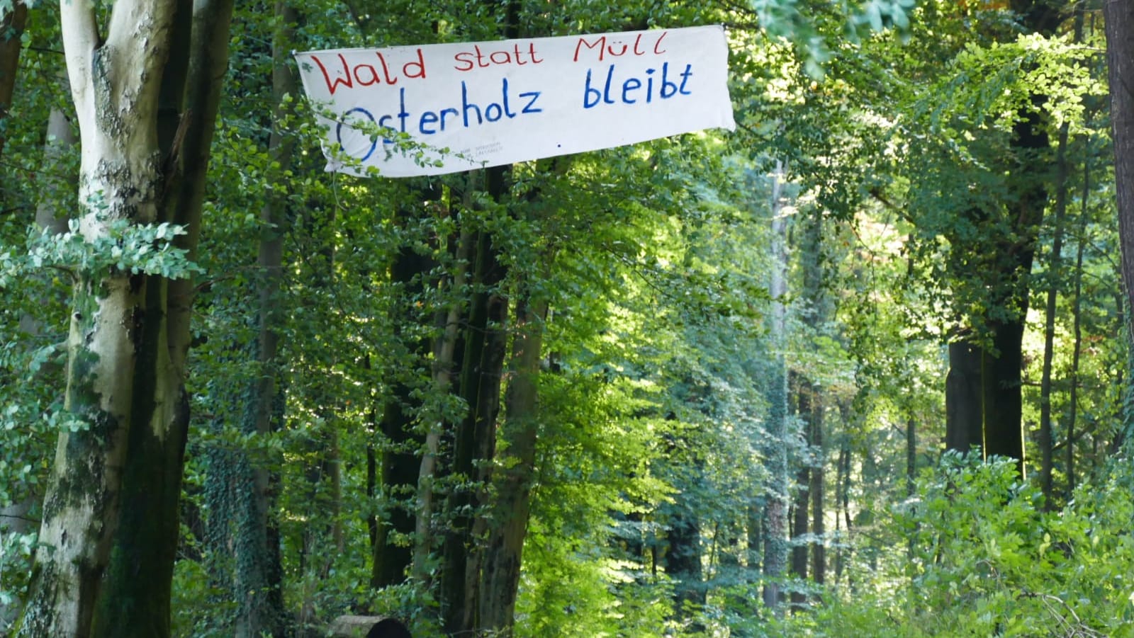 "Wald statt Müll. Osterholz bleibt": In Wuppertal protestieren Menschen gegen die Rodung eines Waldes.