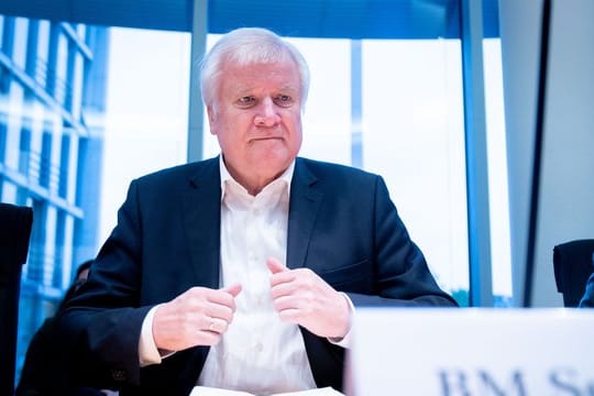 Innenminister Horst Seehofer vergangene Woche bei einer Sitzung in Berlin.