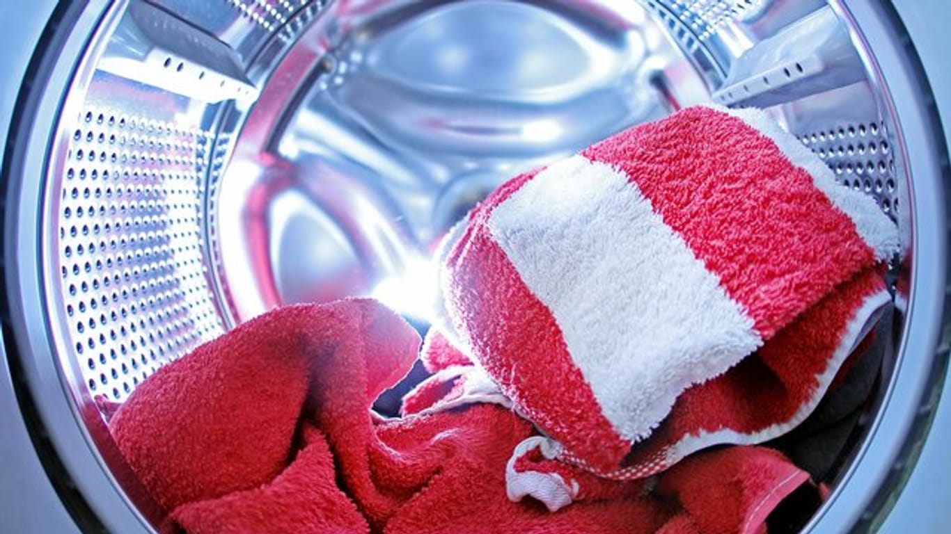 Bakterien tummeln sich überall - auch in Waschmaschinen.