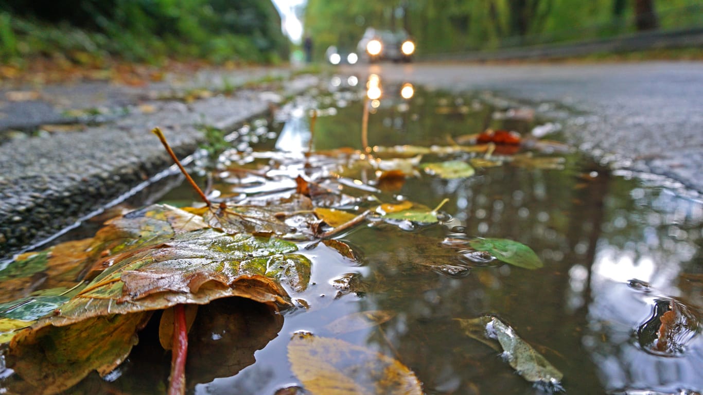 Herbstlaub in Pfütze: Der Wochenbeginn wird regnerisch. (Symbolbild)