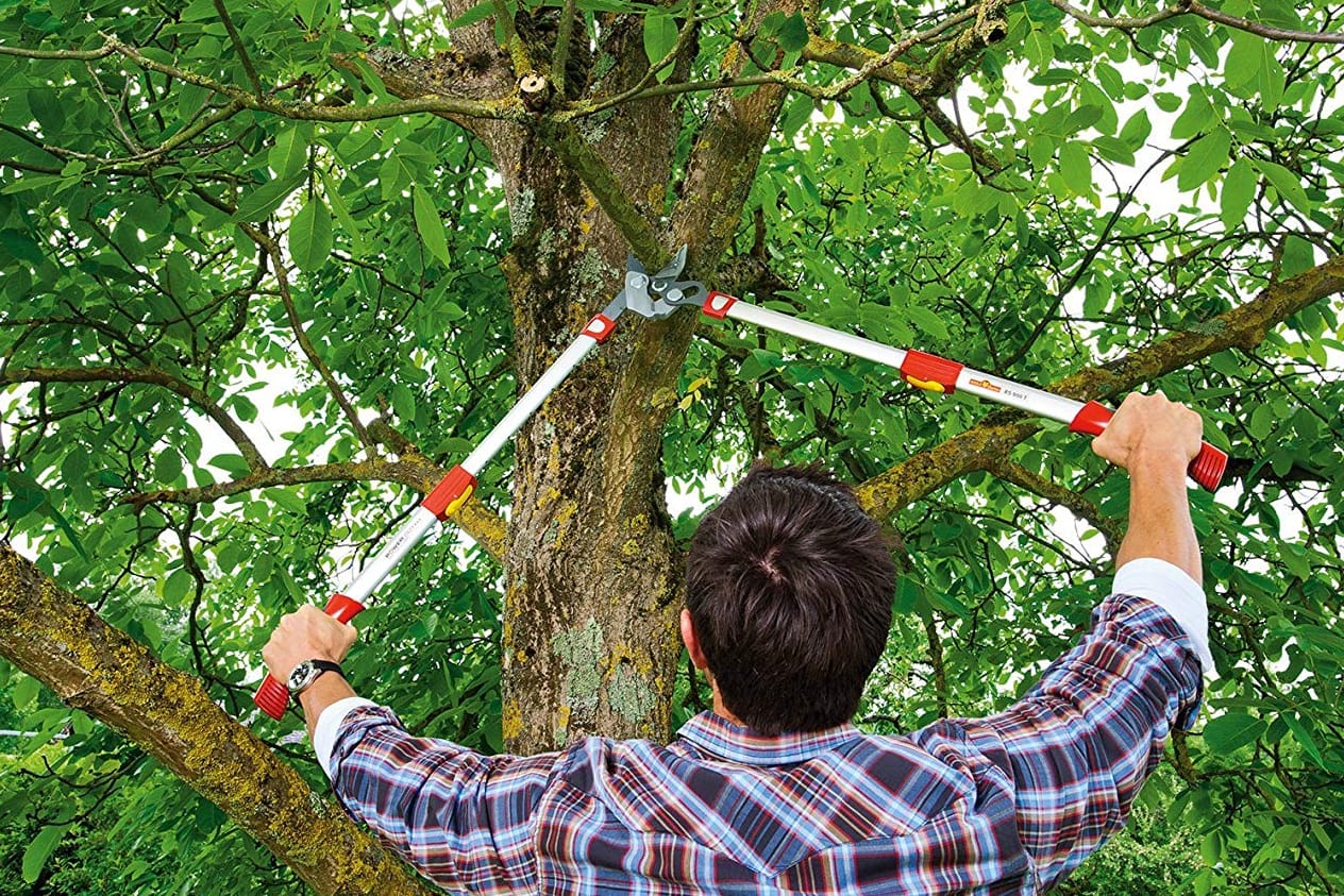 Mann mit Astschere: Die ergonomischen und weichen Griffe machen die Wolf-Garten Astschere sorgen für einen angenehm Halt.