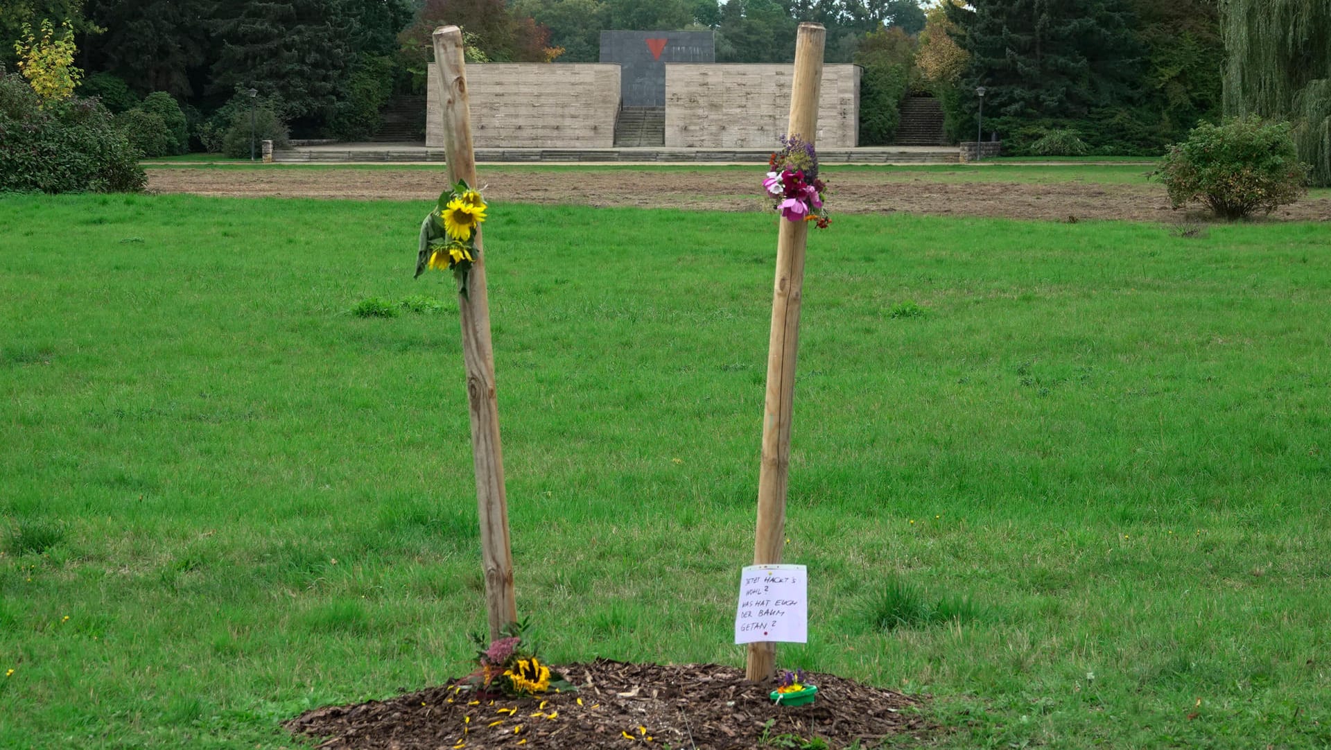 Die Gedenkstätte für das erste Opfer des NSU Enver Simsek in Zwickau: Nach weniger als einem Monat wurde ein hier gepflanzter Baum von Unbekannten abgesägt.