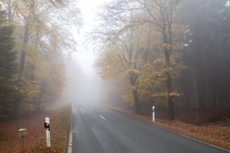 Herbstwald im Nebel: Eine angepasste Geschwindigkeit ist stets wichtig, unabhängig davon, ob Sie die Strecke gut kennen oder zum ersten Mal fahren.