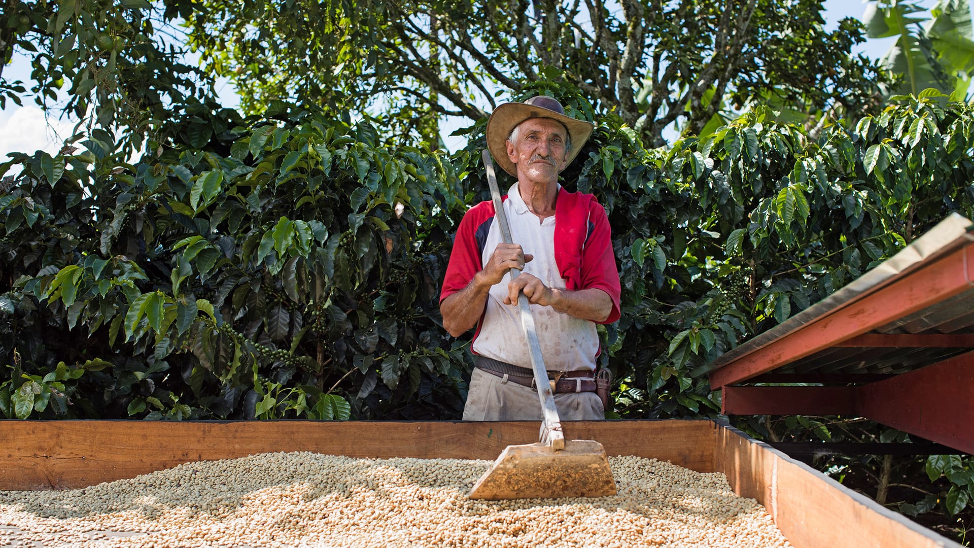 Aufgrund klimatischer Veränderungen weichen Kaffeebauern in höher gelegene Anbaugebiete aus. In vielen Regionen sind die höchstgelegenen Gebiete aber bereits erreicht. Das macht einen nachhaltigen Anbau umso wichtiger.