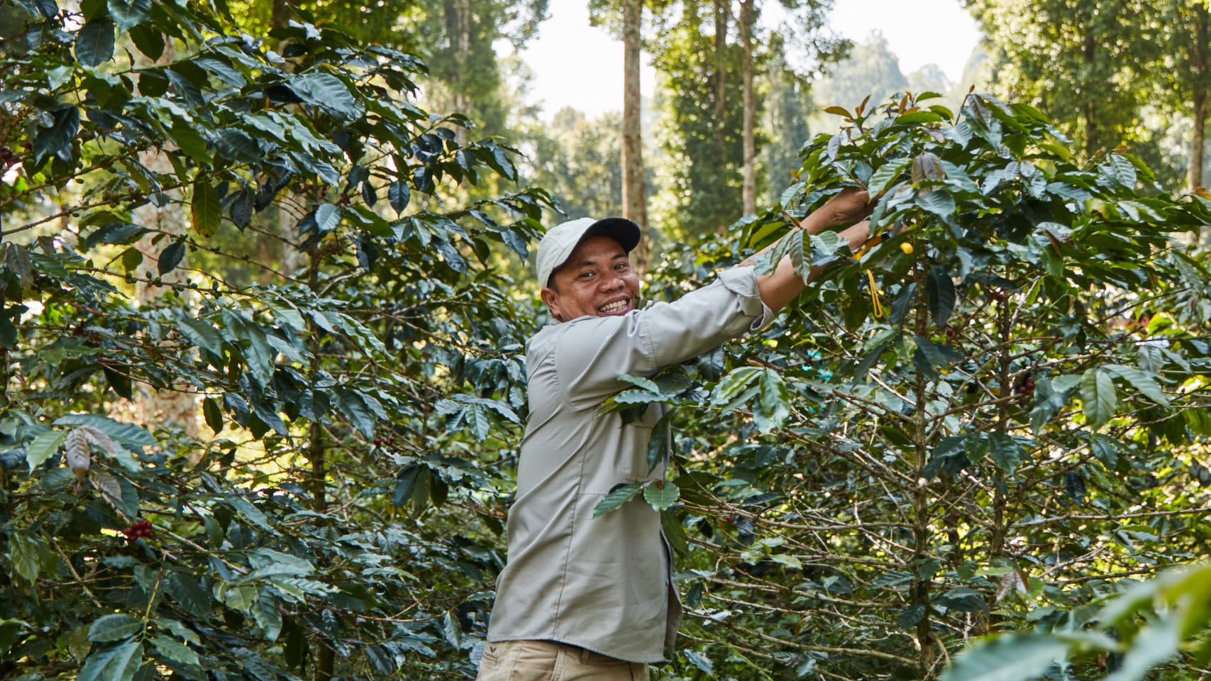Nur ein nachhaltiger Umgang mit dem Produkt Kaffee stellt sicher, dass Nespresso seinen Kunden langfristig Premiumkaffee bieten kann. Das beginnt bereits beim Anbau vor Ort.