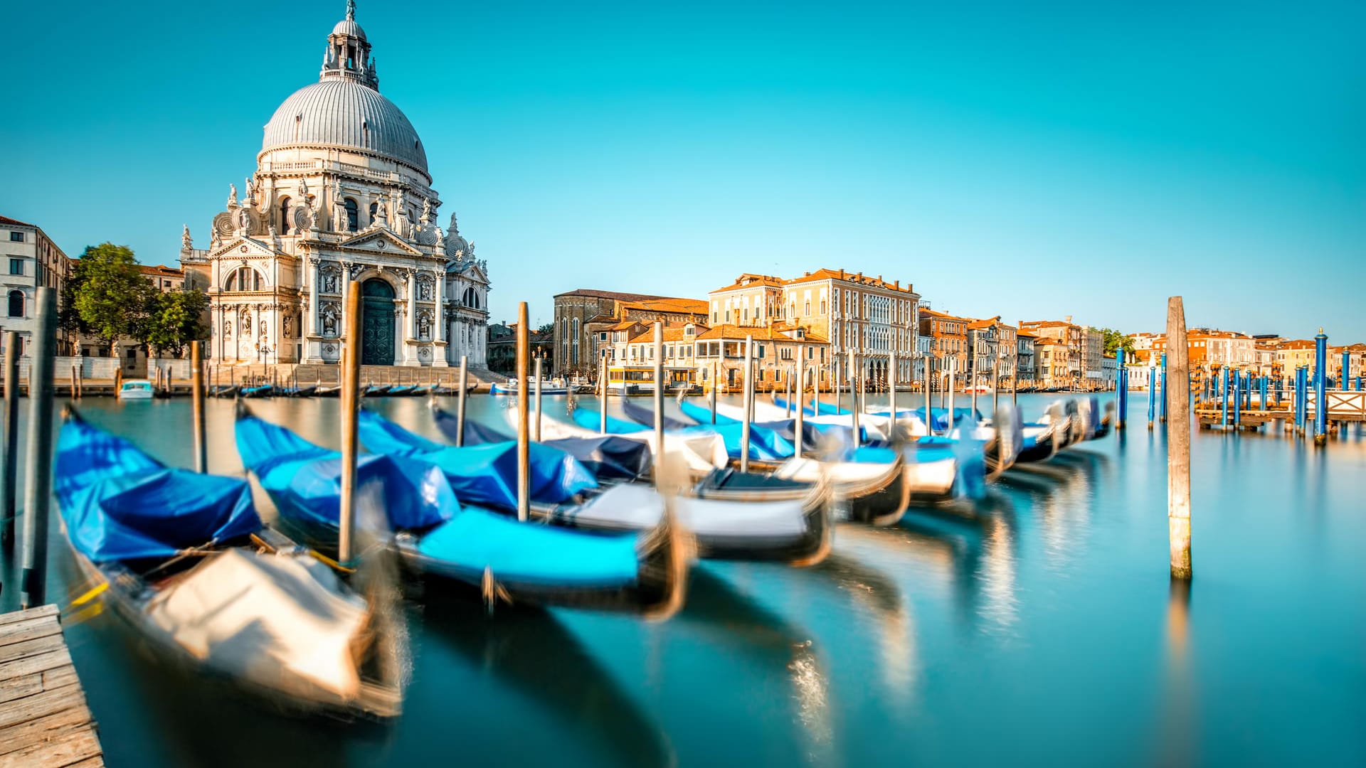 Venedig mit Blick auf Santa Maria della Salute: Wer keine Gebühren zahlen will, riskiert ein Bußgeld.