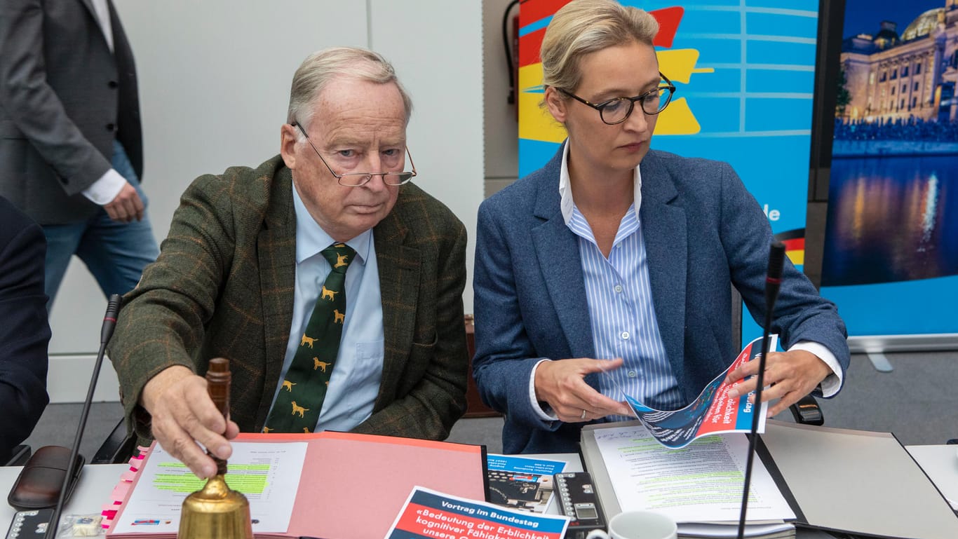 Alexander Gauland und Alice Weidel, AfD-Fraktionsvorsitzende im Bundestag: Eine öffentliche Debatte über den geistigen Nährboden für gewaltbereite Neonazis scheut die Partei bislang.