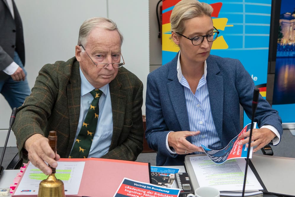 Alexander Gauland und Alice Weidel, AfD-Fraktionsvorsitzende im Bundestag: Eine öffentliche Debatte über den geistigen Nährboden für gewaltbereite Neonazis scheut die Partei bislang.