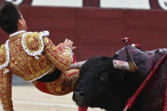 Der spanische Torero Gonzalo Caballero: Er wurde beim Stierkampf am linken Oberschenkel getroffen und schwer verletzt.