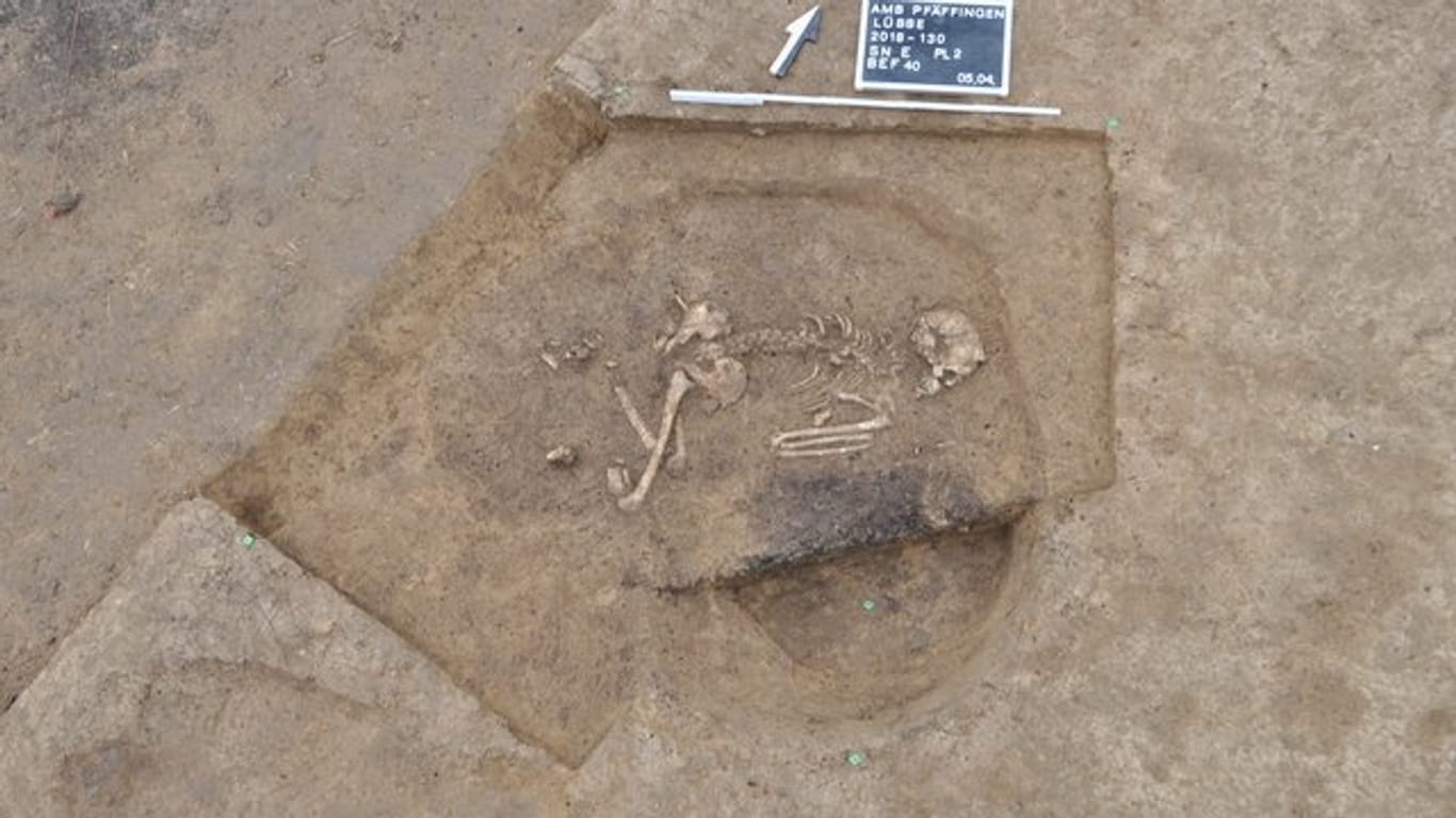 Ein Skelett liegt in einem Grab aus dem 52.