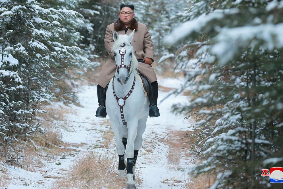 Kim Jong Un: Der nordkoreanische Machthaber posiert auf dem Rücken eines weißen Pferds auf dem höchsten Berg der koreanischen Halbinsel.