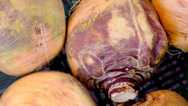 Roh schmecken Steckrüben ähnlich wie Kohlrabi.