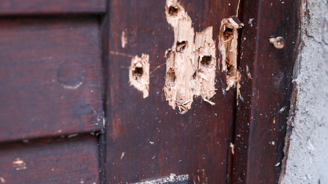 Die Einschusslöcher in Tür der Synagoge in Halle: Noch ist nicht klar, wo genau die Tür als Mahnmal stehen soll – aber sie soll erhalten werden.