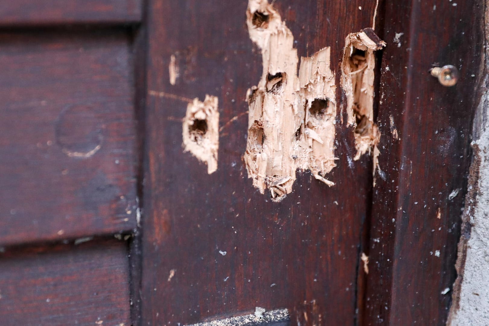 Die Einschusslöcher in Tür der Synagoge in Halle: Noch ist nicht klar, wo genau die Tür als Mahnmal stehen soll – aber sie soll erhalten werden.