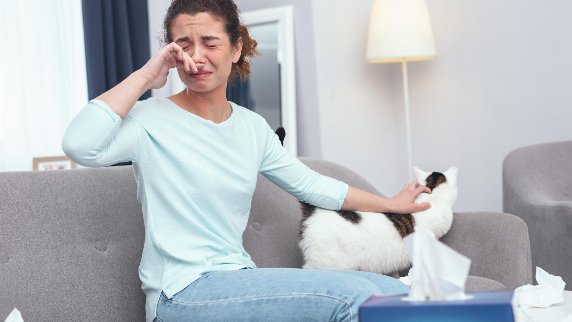 Die häufigste Tierallergie ist die Katzenallergie. Die allergische Reaktion wird durch Allergene ausgelöst, die sich im Speichel der Katze finden, in ihrer Tränenflüssigkeit und in ihren Hautschuppen.