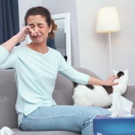 Die häufigste Tierallergie ist die Katzenallergie. Die allergische Reaktion wird durch Allergene ausgelöst, die sich im Speichel der Katze finden, in ihrer Tränenflüssigkeit und in ihren Hautschuppen.