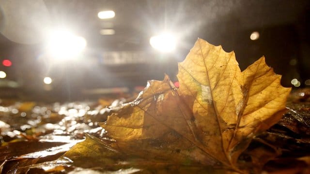 Laub auf der Straße, blendender Gegenverkehr: Im Herbst sind Autofahrer teils mit schwierigen Verhältnissen konfrontiert. Laub auf der Straße, blendender Gegenverkehr: Im Herbst sind Autofahrer teils mit schwierigen Verhältnissen konfrontiert.