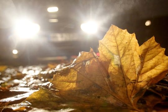 Laub auf der Straße, blendender Gegenverkehr: Im Herbst sind Autofahrer teils mit schwierigen Verhältnissen konfrontiert.